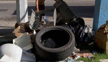 Brasil: Virus zika causa brote de malformaciones en bebés