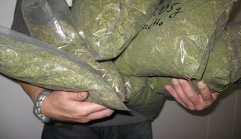 Ocupan 10 libras de marihuana en un minibús de transporte público en Elías Piña