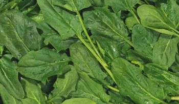 Las espinacas, ¿un súper alimento para bajar de peso?