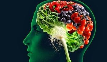 5 alimentos que aumentan la capacidad intelectual