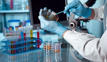 Células madre para tratar artritis, osteoatritis, alzheimer, parkinson, esclerosis, lupus, entra otras 115 enfermedades 