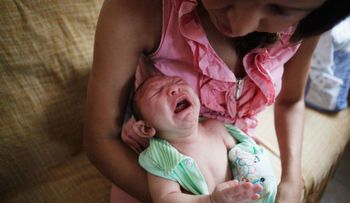 OMS: el virus del Zika causa microcefalia y síndrome de Guillain-Barré
