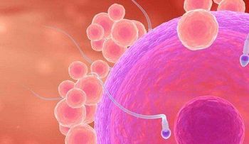 Jóvenes que pasan más tiempo frente a la TV tienen una cuenta de espermatozoides más baja