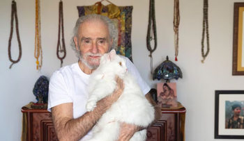 Ramiro Calle: "Los gatos son maestros del bienestar y la calma"