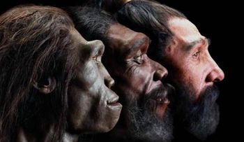 Científicos españoles revelan el origen del rostro humano