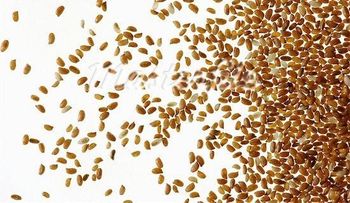 9 Granos sin gluten llenos de nutrientes 