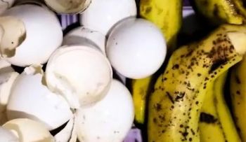 Cáscara de huevo y de banana para jardines y cultivos