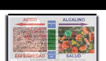 La causa de todas las enfermedades (Video)