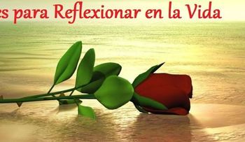 Rosas para el alma: ¡Qué Vida!