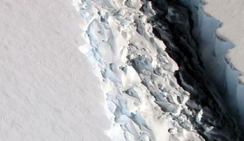 La ruptura de un iceberg desvela un ecosistema oculto durante más de cien mil años