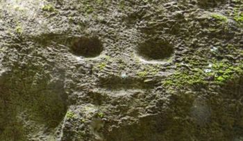 Fotos: Excursionistas hallan petroglifos de más de 1.000 años en una isla del Caribe