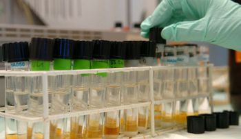 Hacia el fin del cáncer: ¿por qué la lucha contra la enfermedad cambiará en 2016?