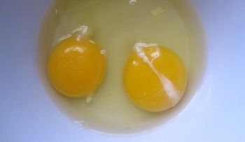 Advertencia: si ves esta fibra blanca en los huevos debes saber algo poco conocido 