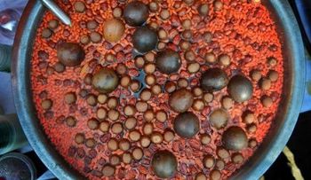 9 casos de hepatitis A se registran en Australia 