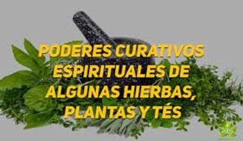 Te curativo y espiritual de jengibre, romero, limón, azafrán, menta...