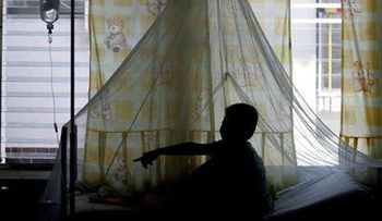 El dengue ha causado este año 29 muertos y 40,000 enfermos en CA