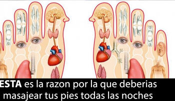 ESTA es la razón por la que debes masajear tus pies antes de irte a dormirâ?¦ ¡Muy interesante!