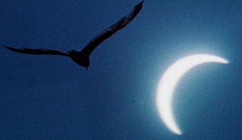 Luna negra: ¿Este viernes se cumple Mateo 24:29 y Lucas 21:25-26? 