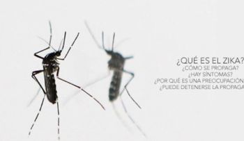 Qué es el zika, síntomas y como se propaga: Preguntas y respuestas 