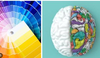 Los colores de la inteligencia: lo que tu preferencia revela de ti