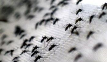 Más de 13 mil casos confirmados de Zika en Colombia