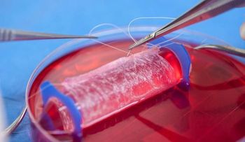 Científicos crean penes humanos en laboratorios