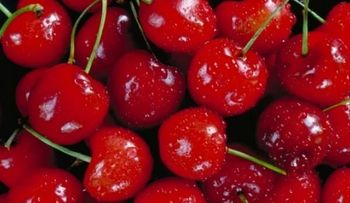 Conoce los alimentos que desinflaman y ayudan a perder peso