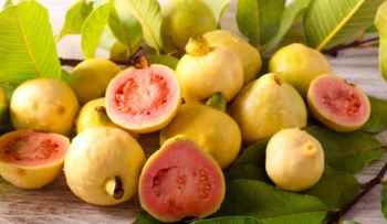 Milagro del refrigerador: agua de guayaba