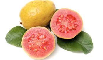 10 razones para comer guayaba