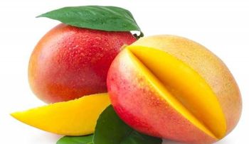 Mango, la fruta curadora