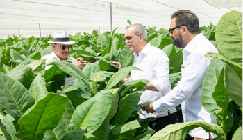 Abinader visita finca tabacalera en Monte Plata para impulsar tecnología