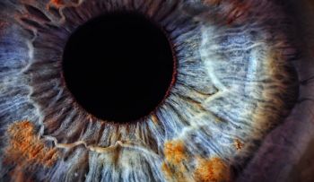 El asombroso síndrome del Ojo Fantasma
