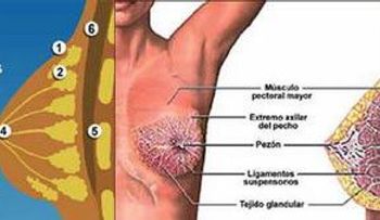 Estaba a punto de morir por un cáncer, me dieron esta bebida y superé el problema por completo