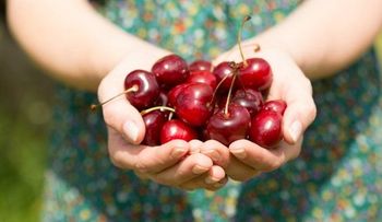 Los beneficios antioxidantes de comer cerezas