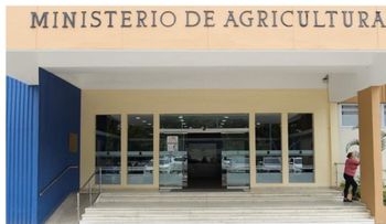 Agricultura impulsa exportación de mangos a EE. UU. y Europa