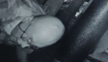 "Espeluznante": Un hombre pone una cámara en su ático y confirma sus peores sospechas