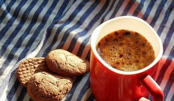 ¿Por qué la cafeína nos mantiene despiertos?