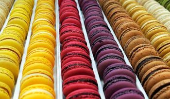 10 alimentos reducen a la mitad el riesgo de padecer alzhéimer