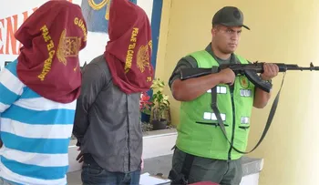 Detienen producción de 