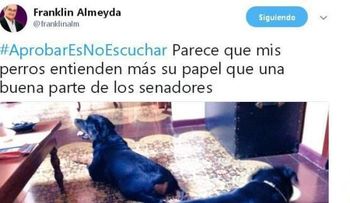Franklin Almeyda y sus perros más inteligentes que muchos senadoresâ?