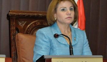 Rojas Gómez: debe ser respetado acuerdo CP del PLD en Cámara de Diputados