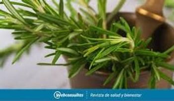 Lo que no sabías del Romero para dolores de cabeza, bajo a boca, vértigos y anemia
