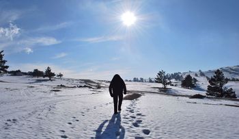 La ciencia finalmente resuelve el misterio del Yeti