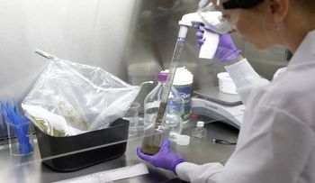 Heces fecales de personas sanas pueden curar infecciones intestinales