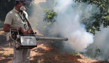 180 mil hogares serán visitados en Caracas para atacar el dengue y chikungunya 