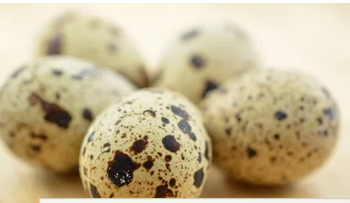 Huevos de Codorniz: El Superalimento que transformará tu salud