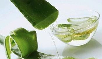 Remedio casero de aloe vera para las quemaduras