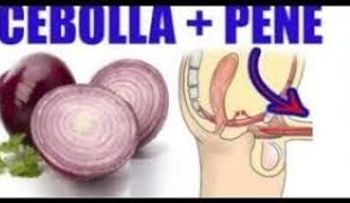 No lo podía creer: los poderosos efectos de la cebolla en el pene