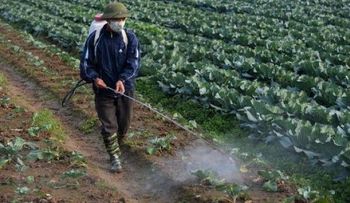 5 pesticidas considerados posibles cancerígenos