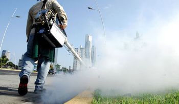 Panamá declara alerta sanitaria por el virus del Zika